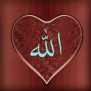 Meet your Posher, Huma